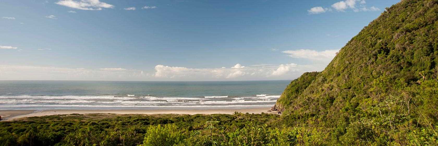 Camburi