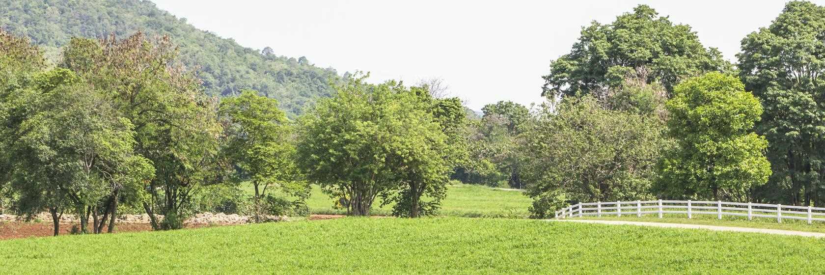 Pindamonhangaba