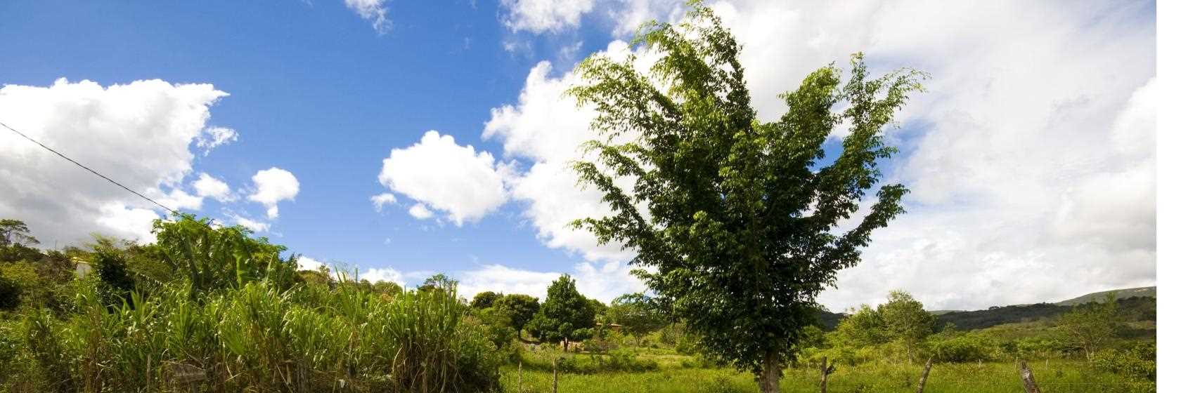Orlândia