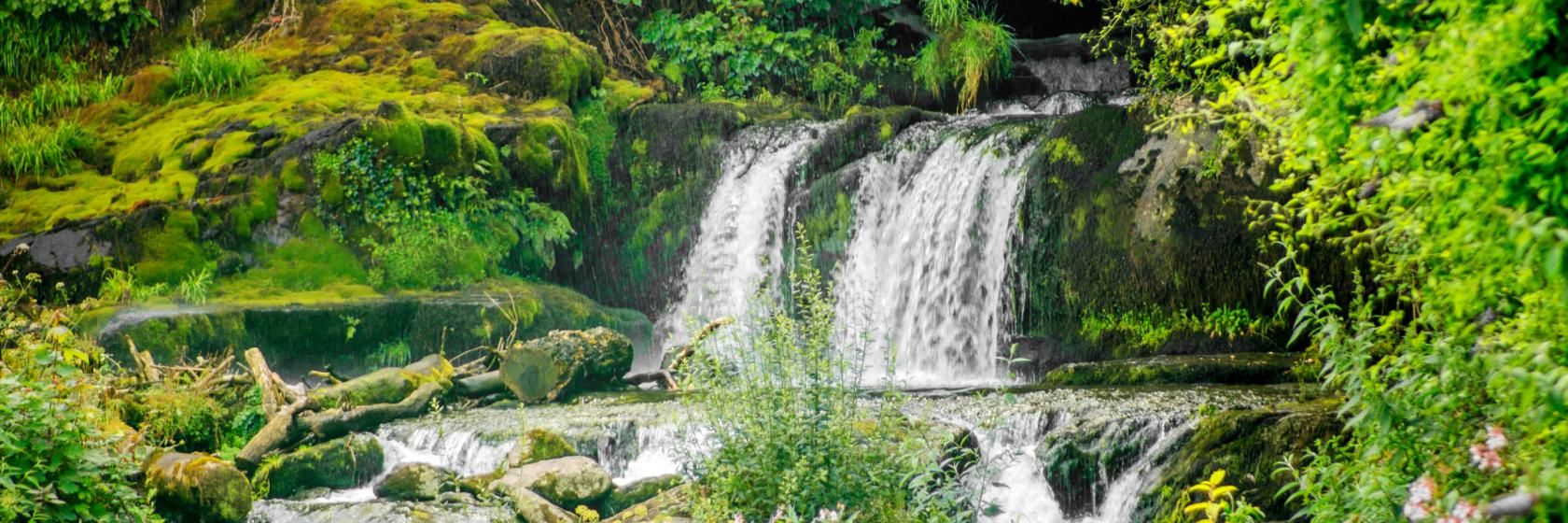 Corumbá de Goiás