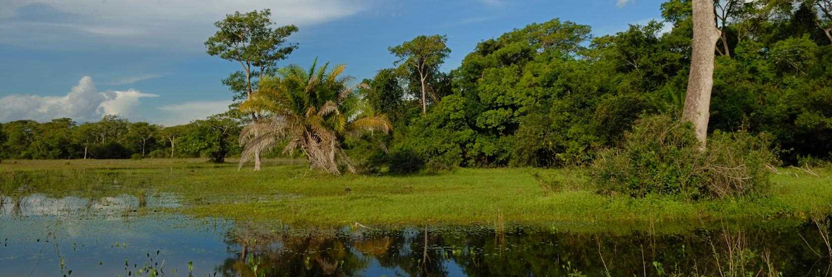 Rondonópolis
