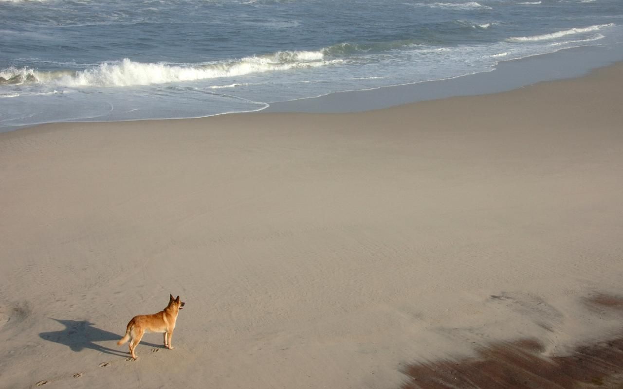 Ilha Comprida