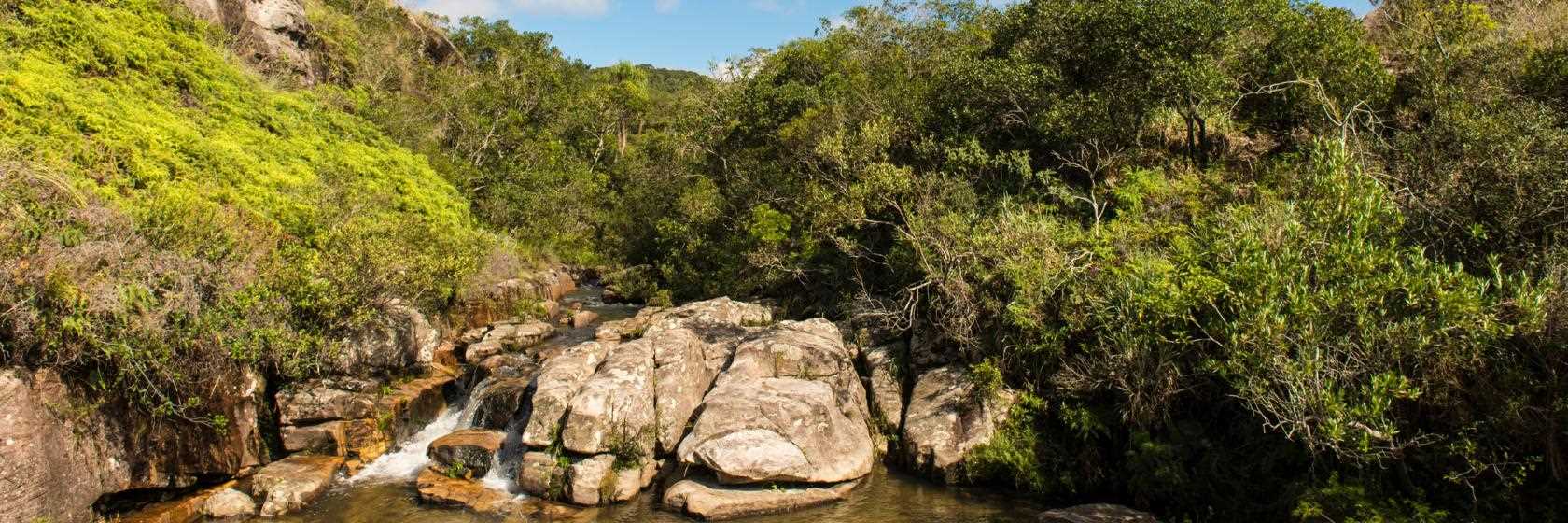 São Pedro da Serra