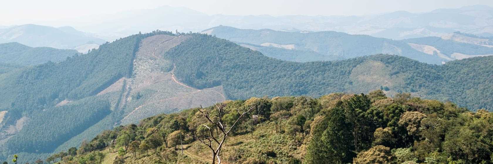 Monte Alegre do Sul