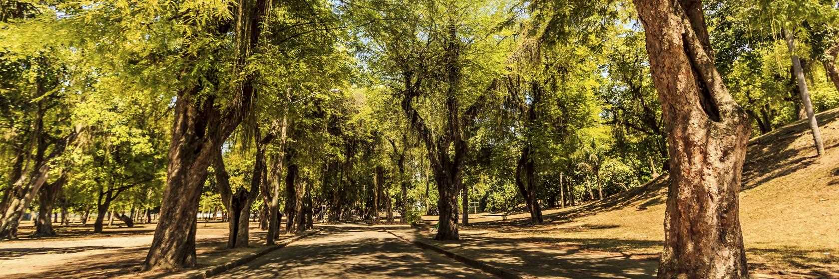 Santa Rosa