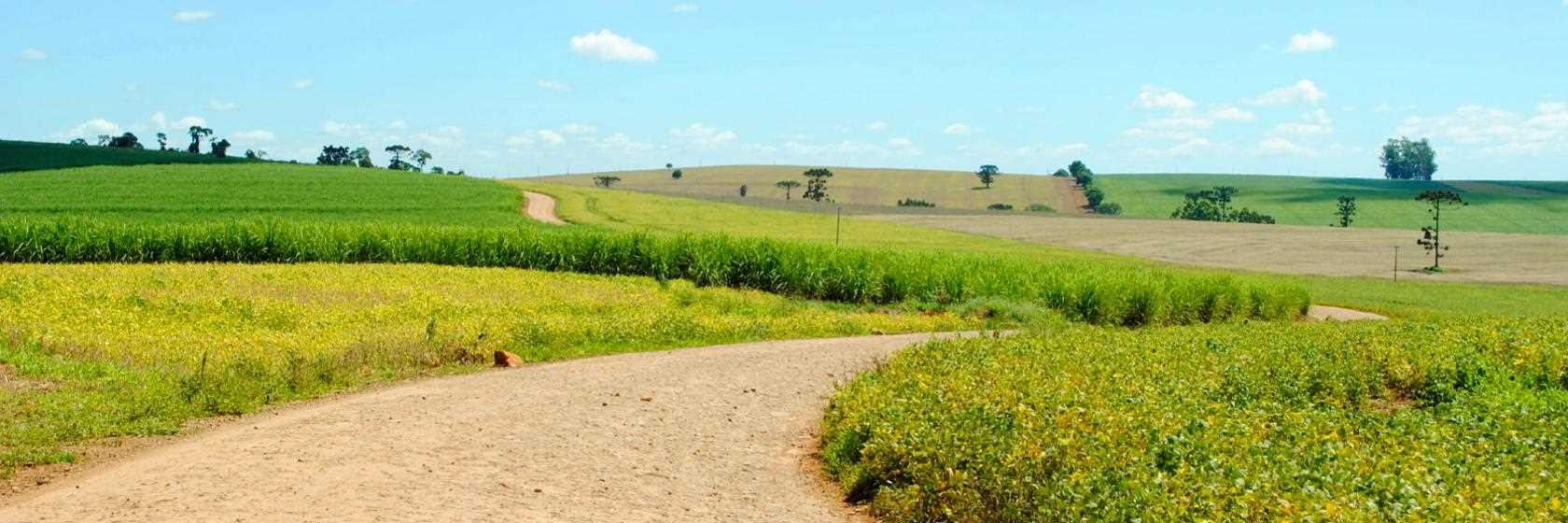 Limeira