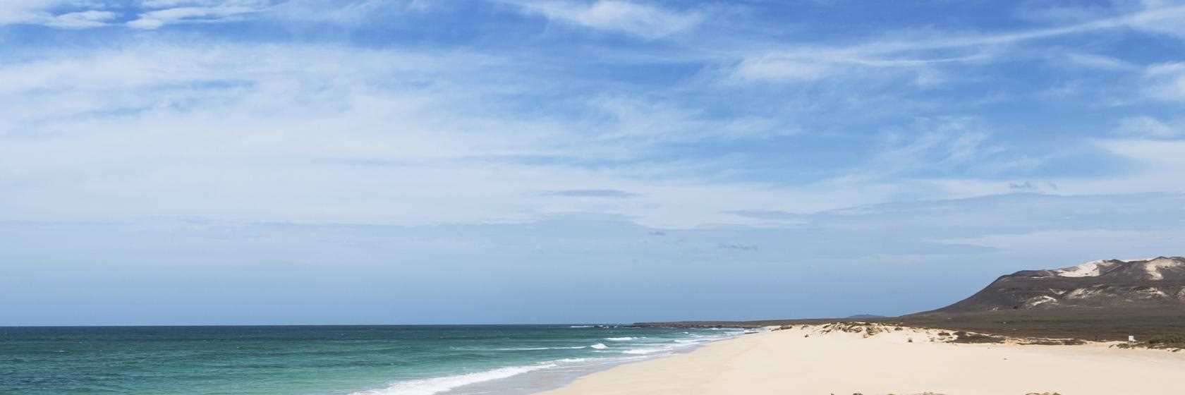 Algodoal