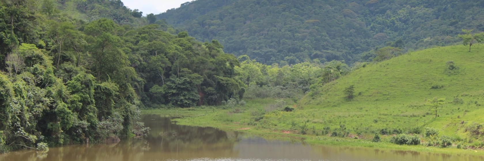 Barra do Piraí