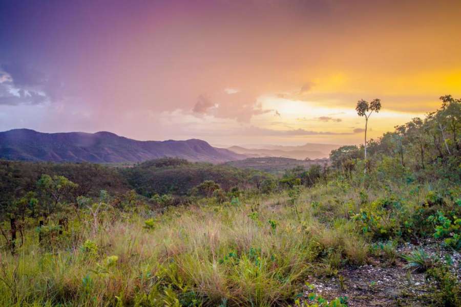 Foto do Canto da Coruja