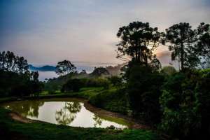 Foto do Pousada Caminho dos Ipês