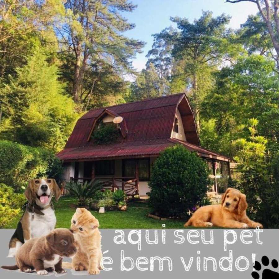 Foto do Casa na Floresta em Campos do Jordao