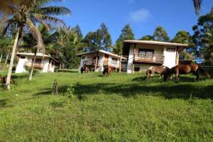 Itacaré EcoRanch Foto do Itacaré EcoRanch
