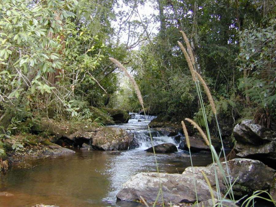 Foto do Casa de Campo Rústica em Fazenda Usina