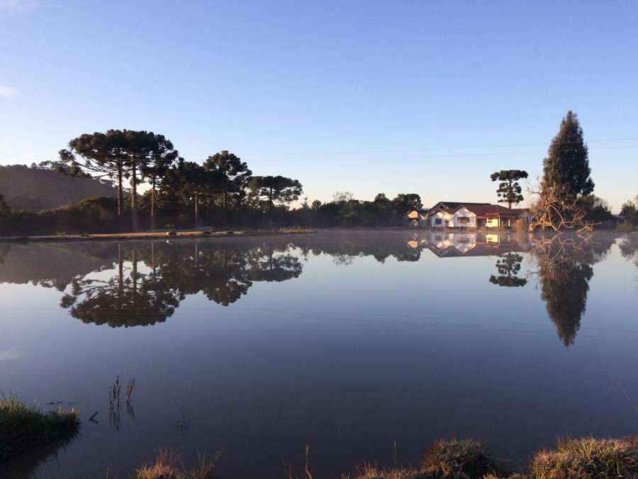 Sítio Rota das Araucárias Foto do Sítio Rota das Araucárias