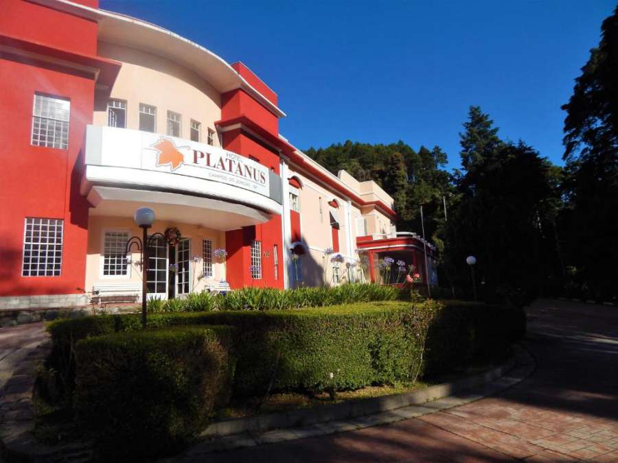 Foto do Hotel Platanus