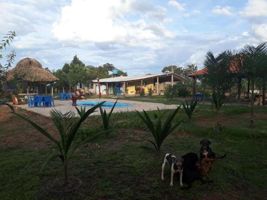 Foto do Pantanal ocelotnatur Camping em Nobres