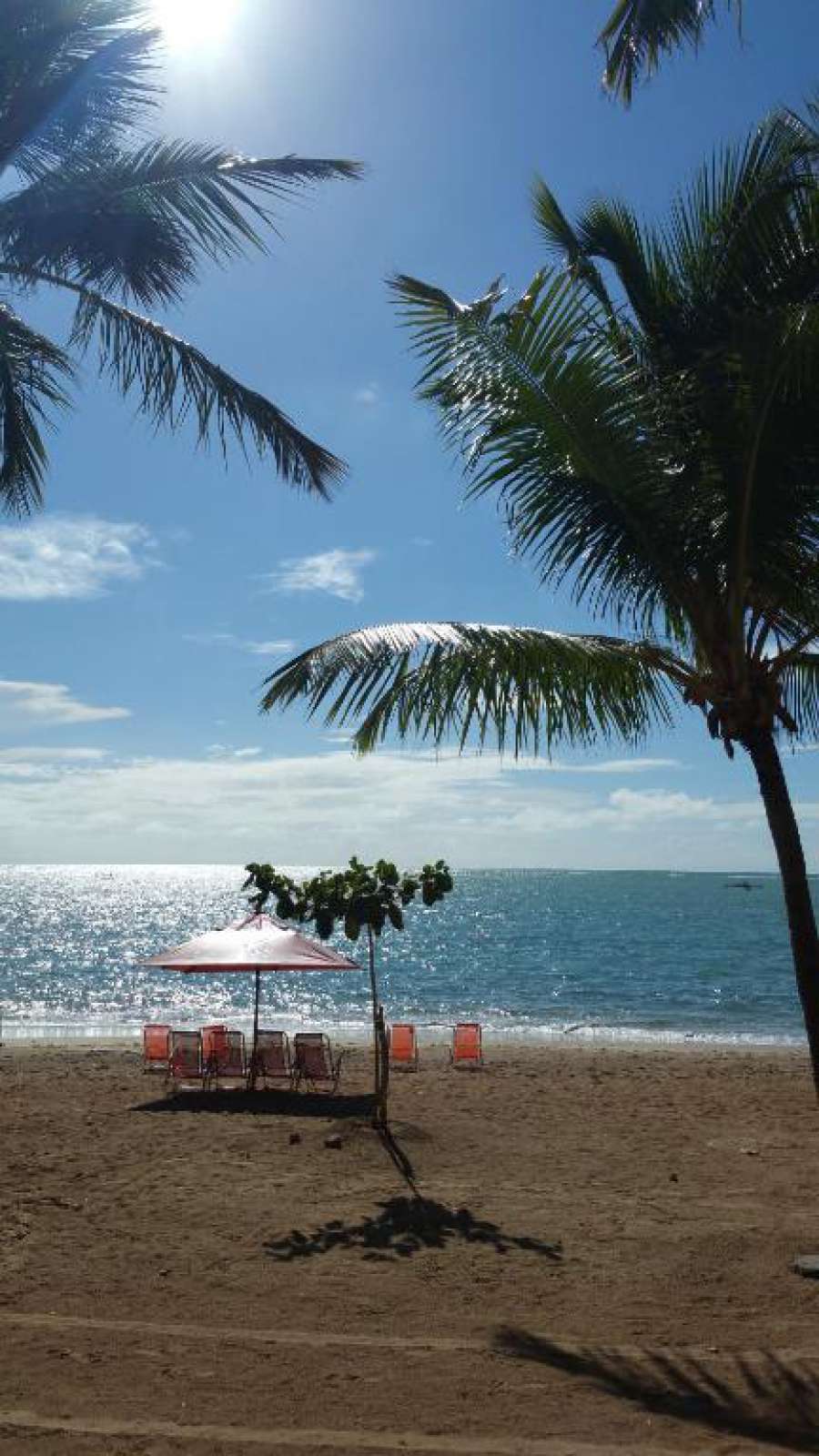 Foto do APT. PRÓXIMO AO MAR/MACEIO