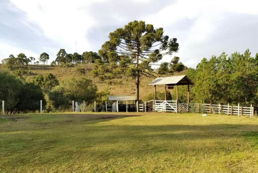 Casa de Campo Passo do Tatu Foto do Casa de Campo Passo do Tatu