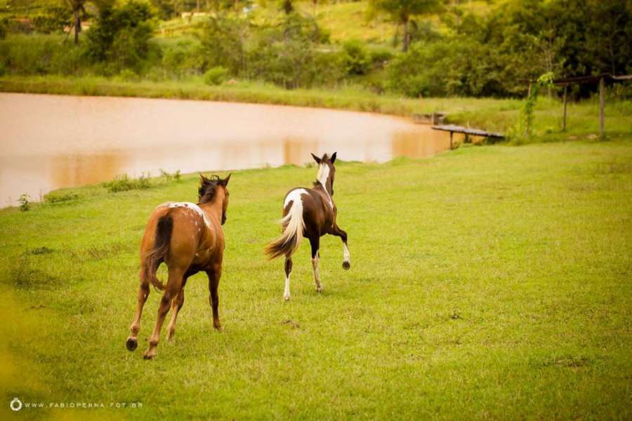 Foto do Fazenda Moinho