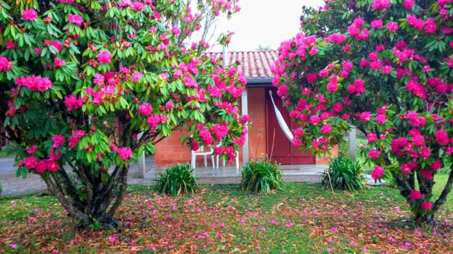 Foto do Chalé Recanto da Natureza