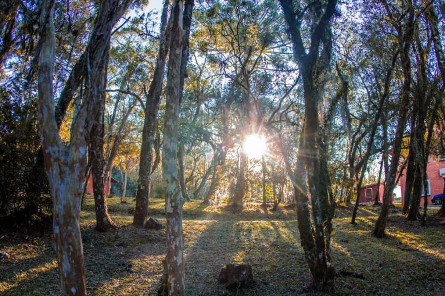 Foto do Sede Campestre Rincão do Coelho