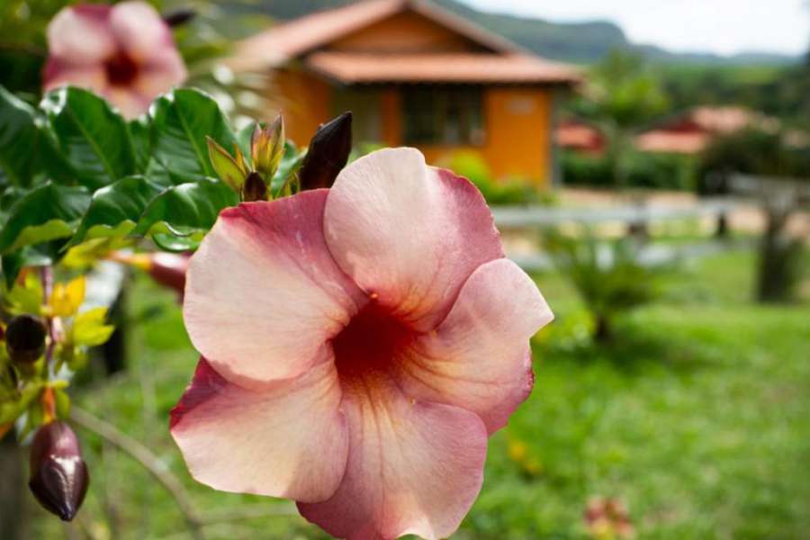 Foto do Pousada Chalés da Serra - Carrancas MG