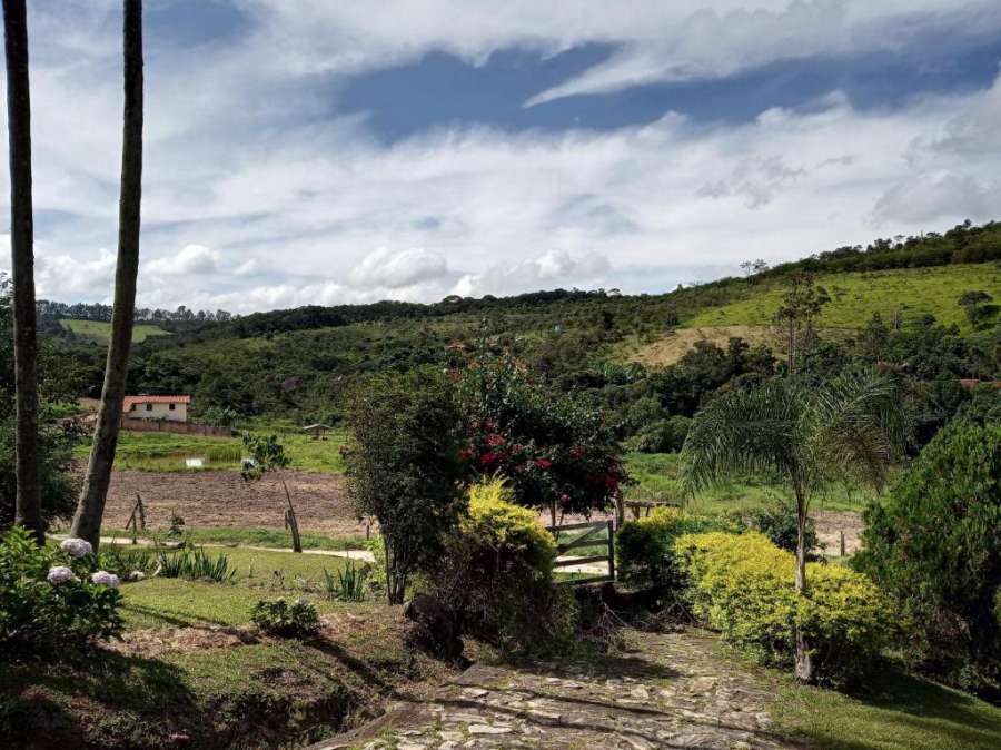 Foto do Fazenda GIR Laranjeiras