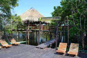Foto do Juma Amazon Lodge