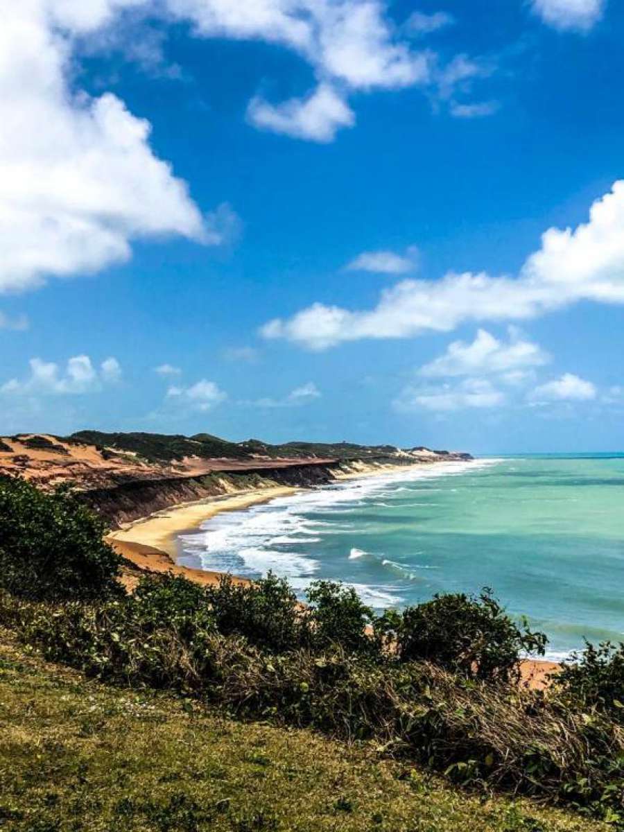 Foto do CASA DOS COQUEIROS