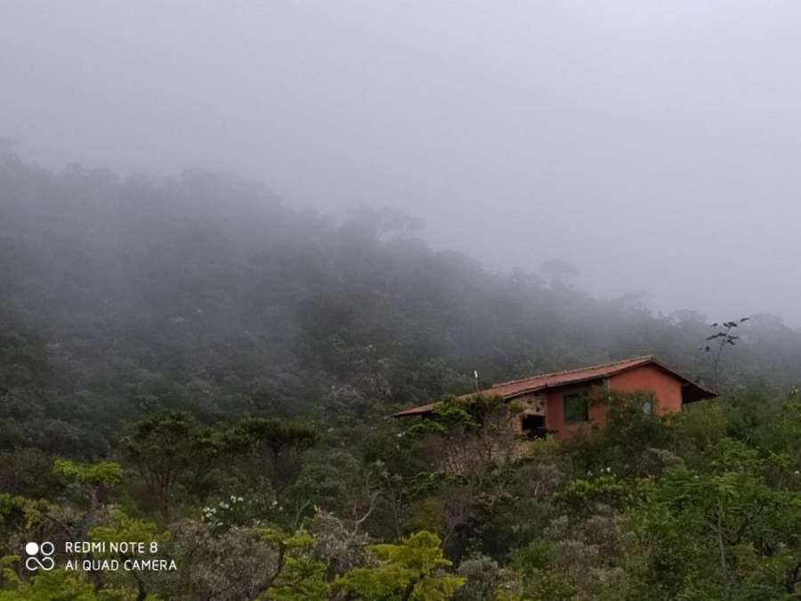 Foto do Lapinha da Serra Flor do Cerrado