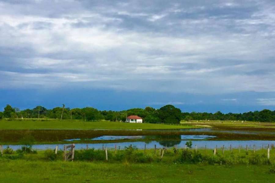 Foto do Casa da Baía: um pedaço do paraíso no Pantanal Sul