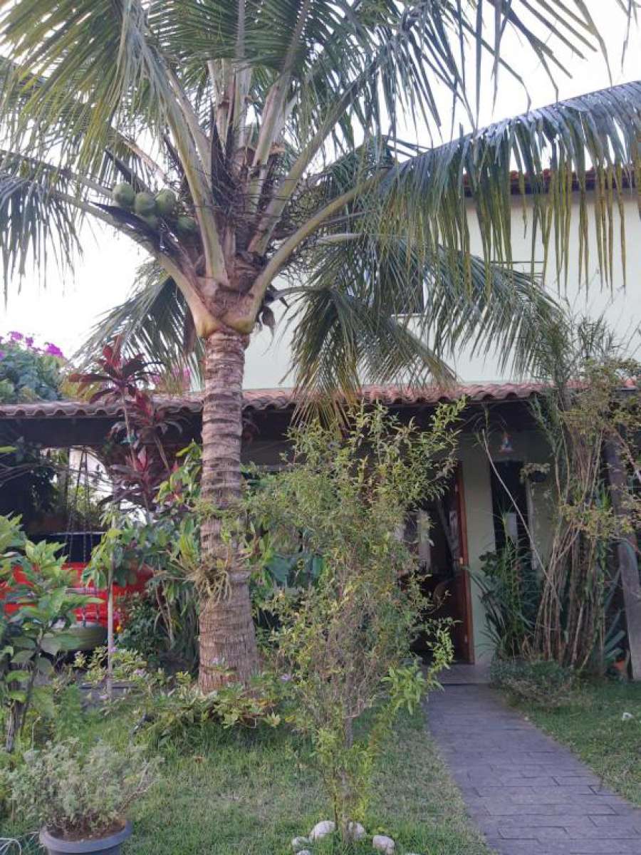 Foto do Casa verde