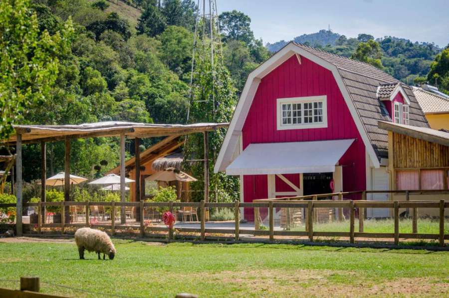 Foto do Go Organic Experience