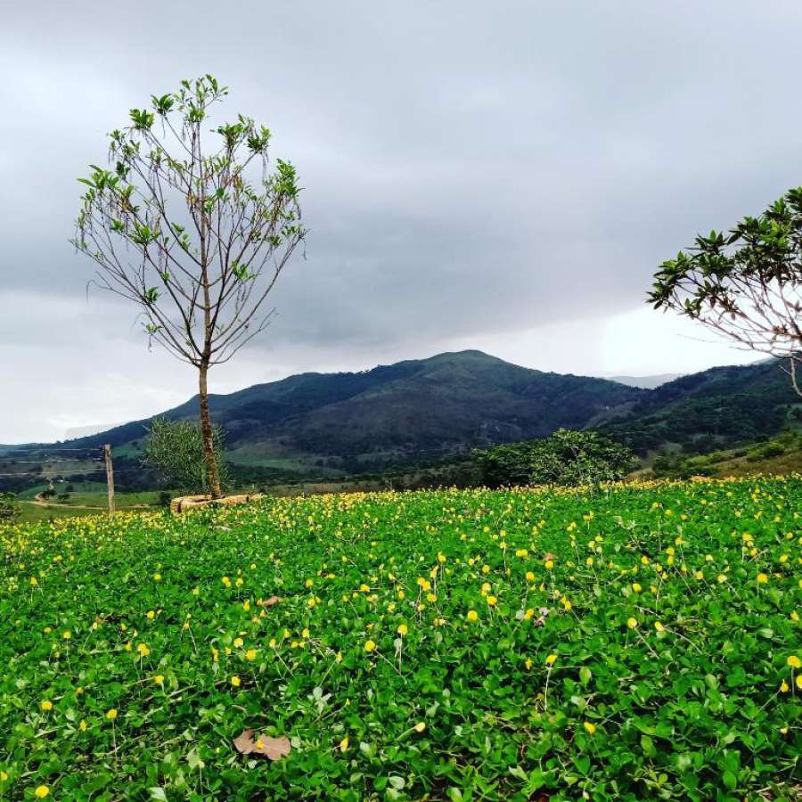 Foto do Pousada Sabor da canastra