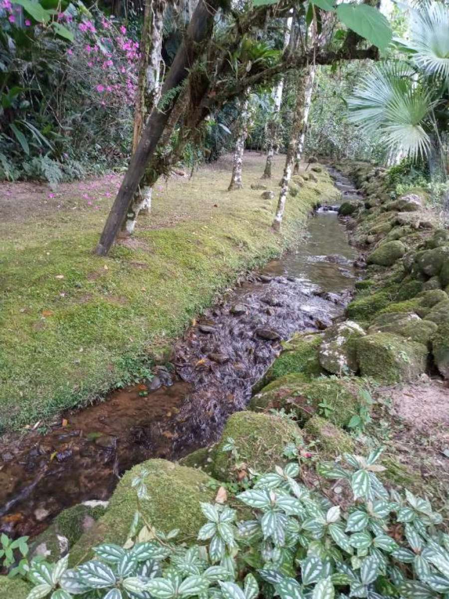 Foto do Cantinho na Mata Atlântica