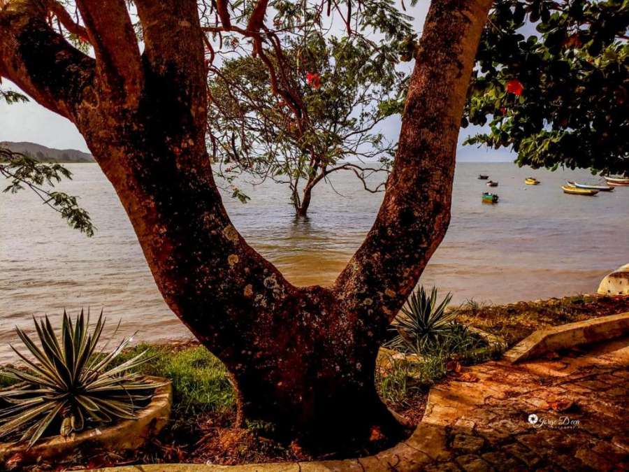 Foto do Casa da Praia!Casa de Vila no luxo de uma aldeia de pesca