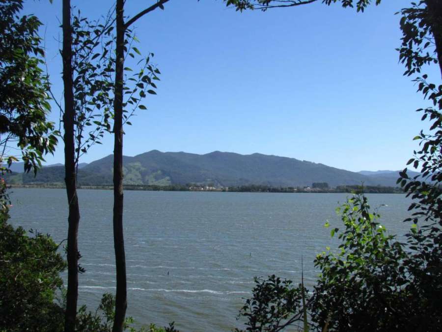 Foto do Lupe da Lagoa