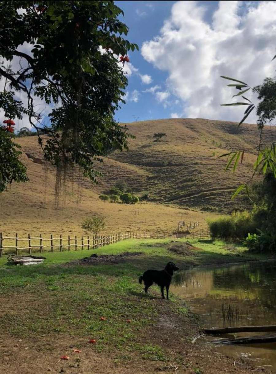 Foto do Vivenda dos Guaranys - uma imersão na natureza