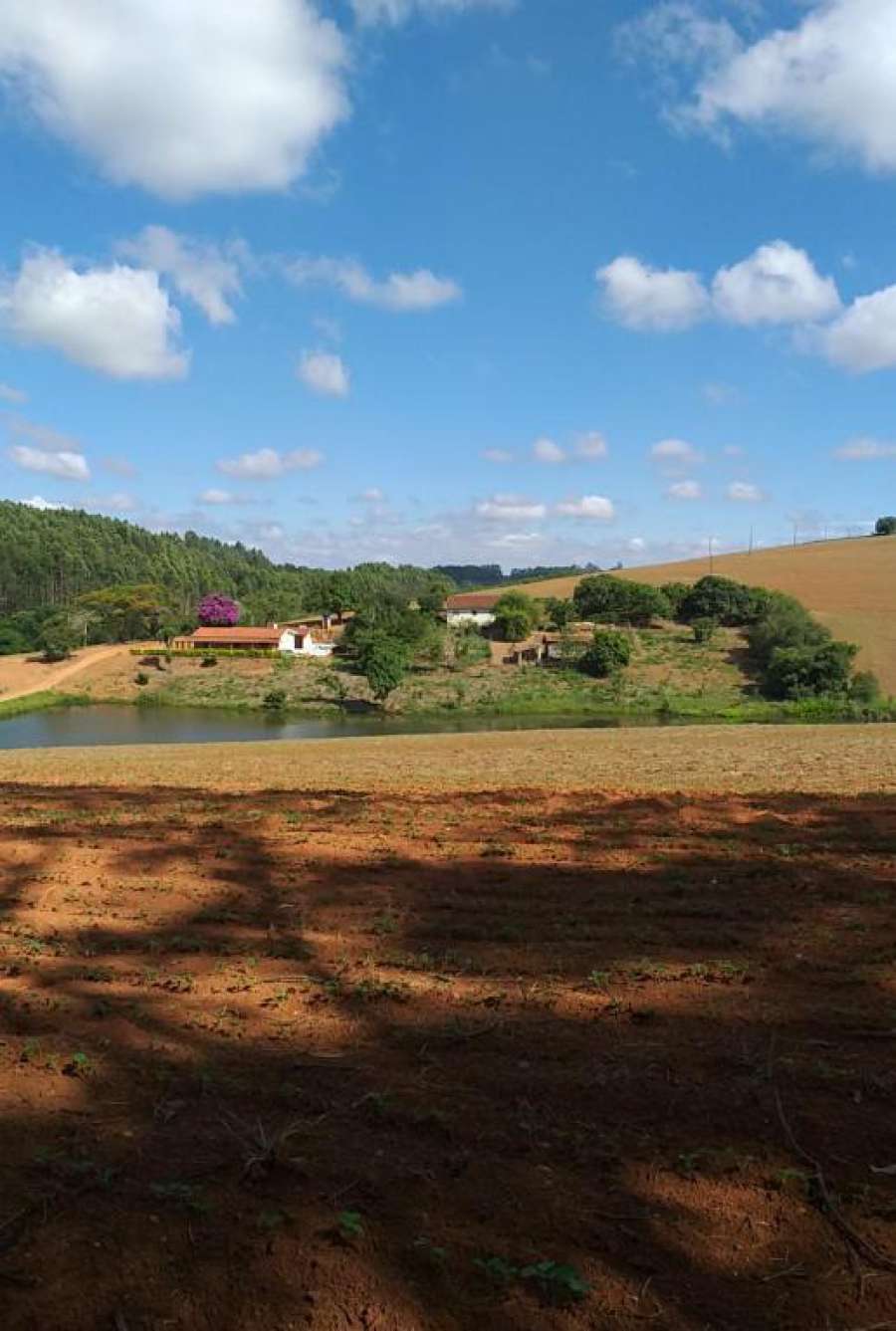 Foto do Green House sua casa no campo