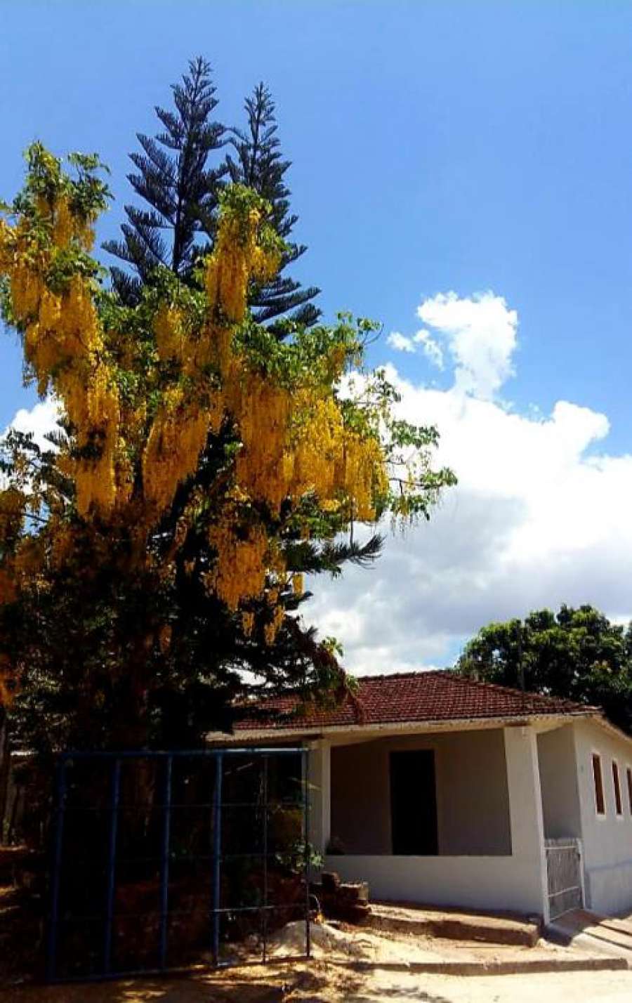 Foto do Casa para temporada TIA IDALA