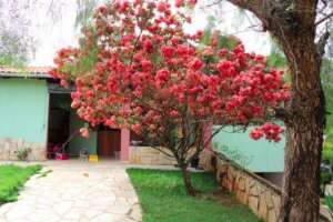 Casa tranquila e confortável em Pirenópolis Foto do Casa tranquila e confortável em Pirenópolis