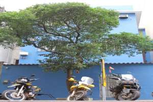 Copacabana Hostel Foto do Copacabana Hostel