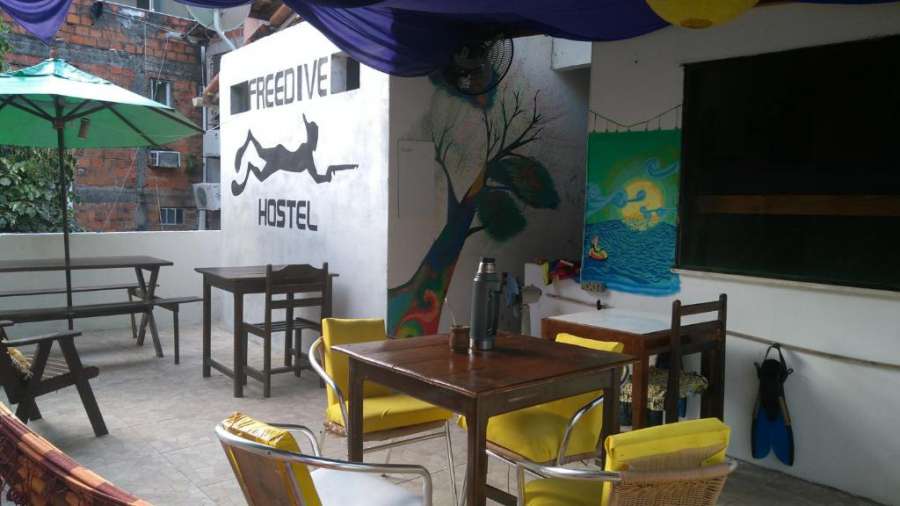 Foto do Hostel FreeDive Inn