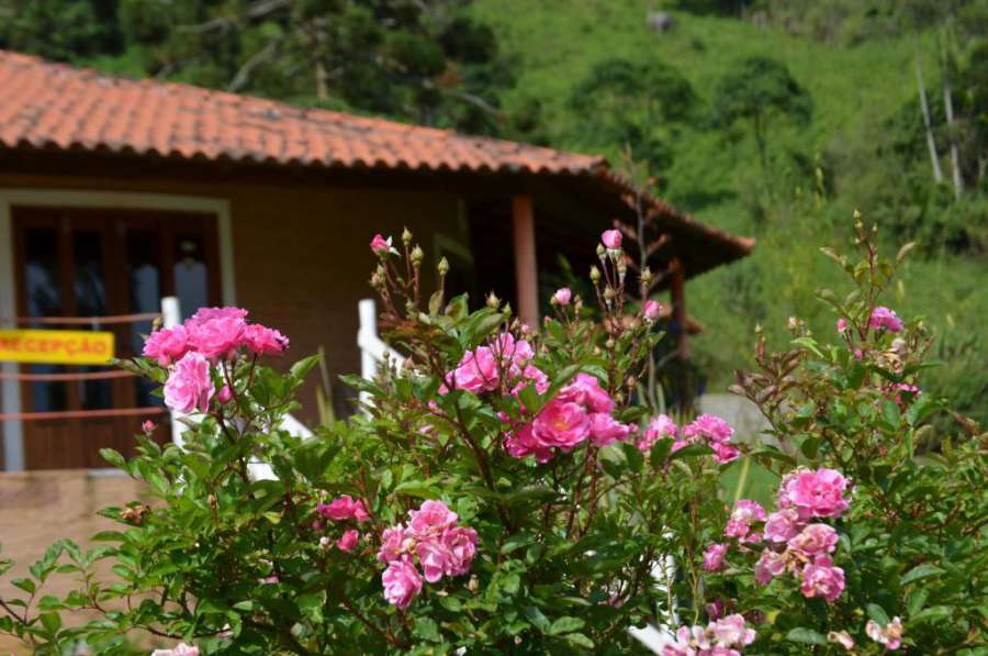 Foto do Pousada das Flores