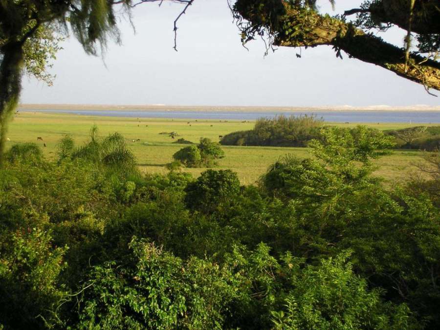 Foto do Aldeia Santuario das Aves