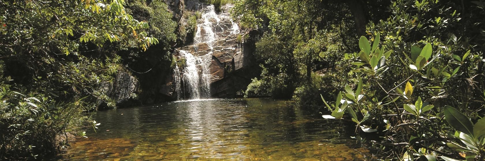 Foto do Delfinópolis