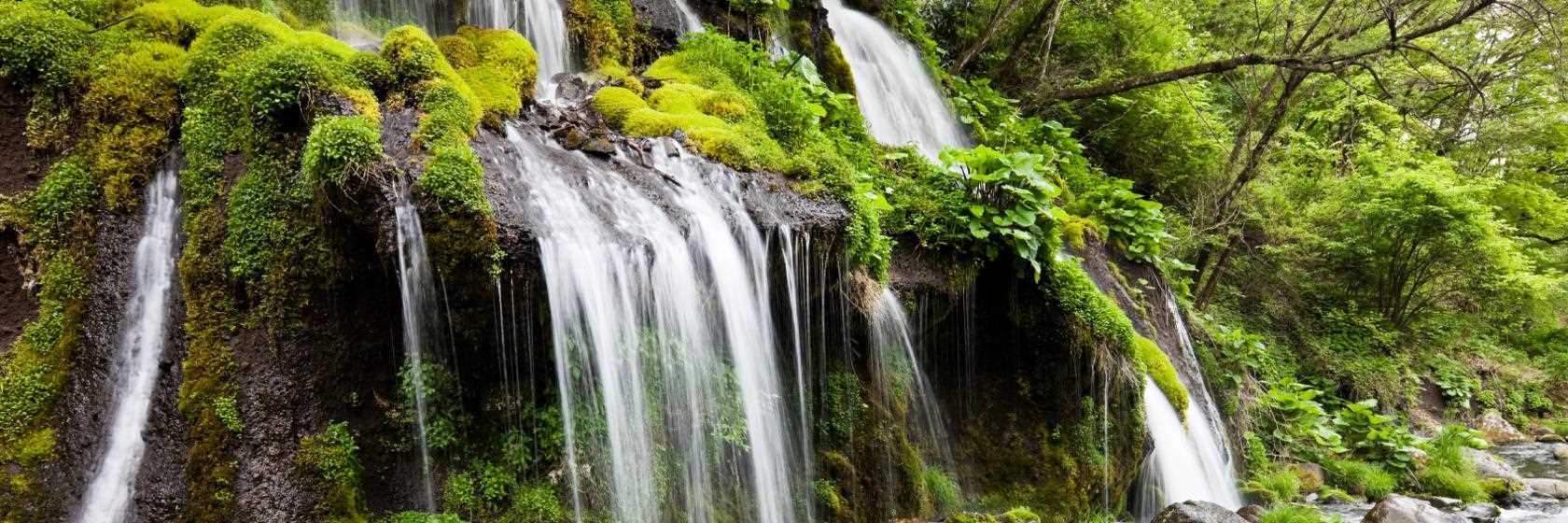 Foto do Caldas Novas