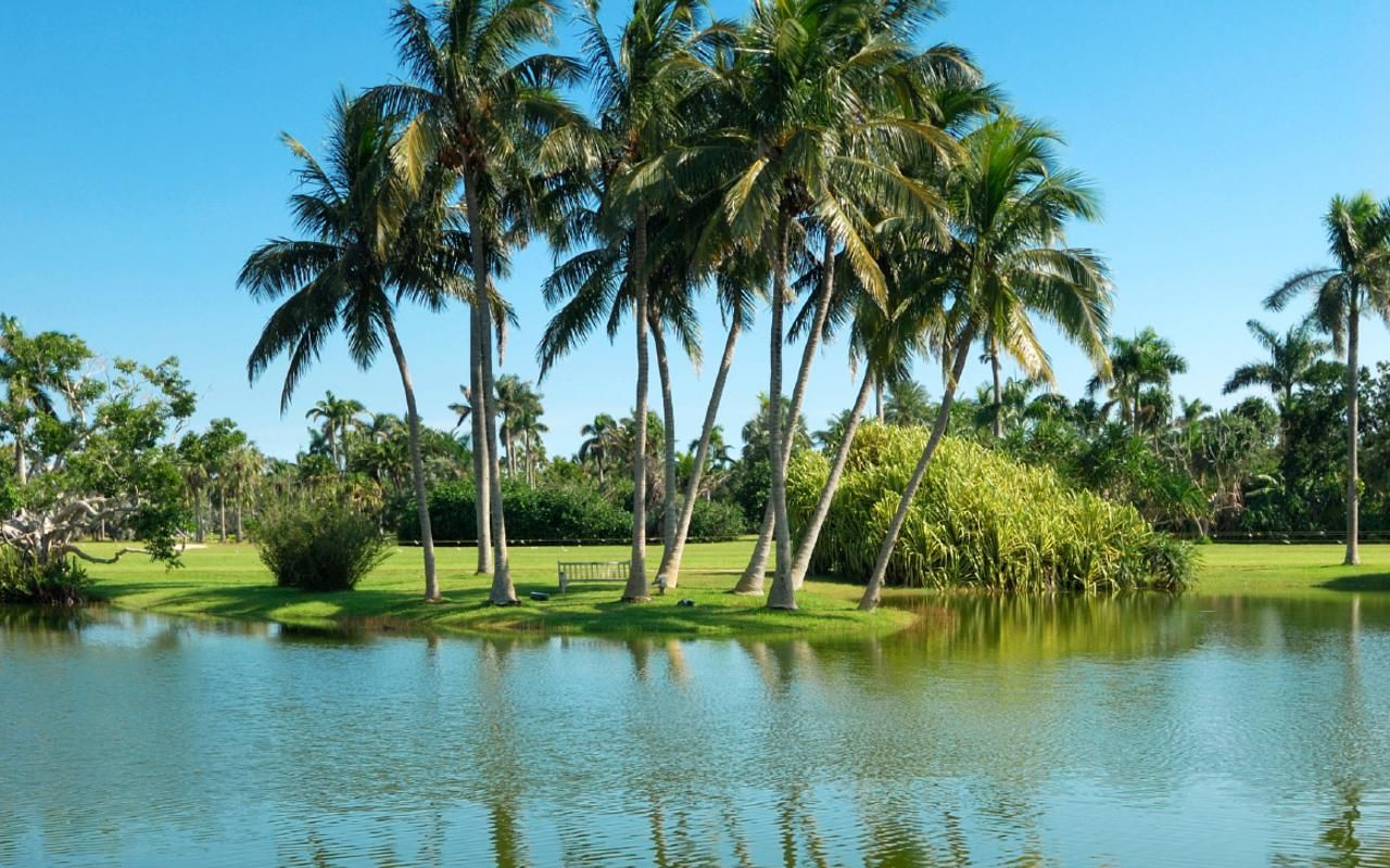 Foto do Goiânia