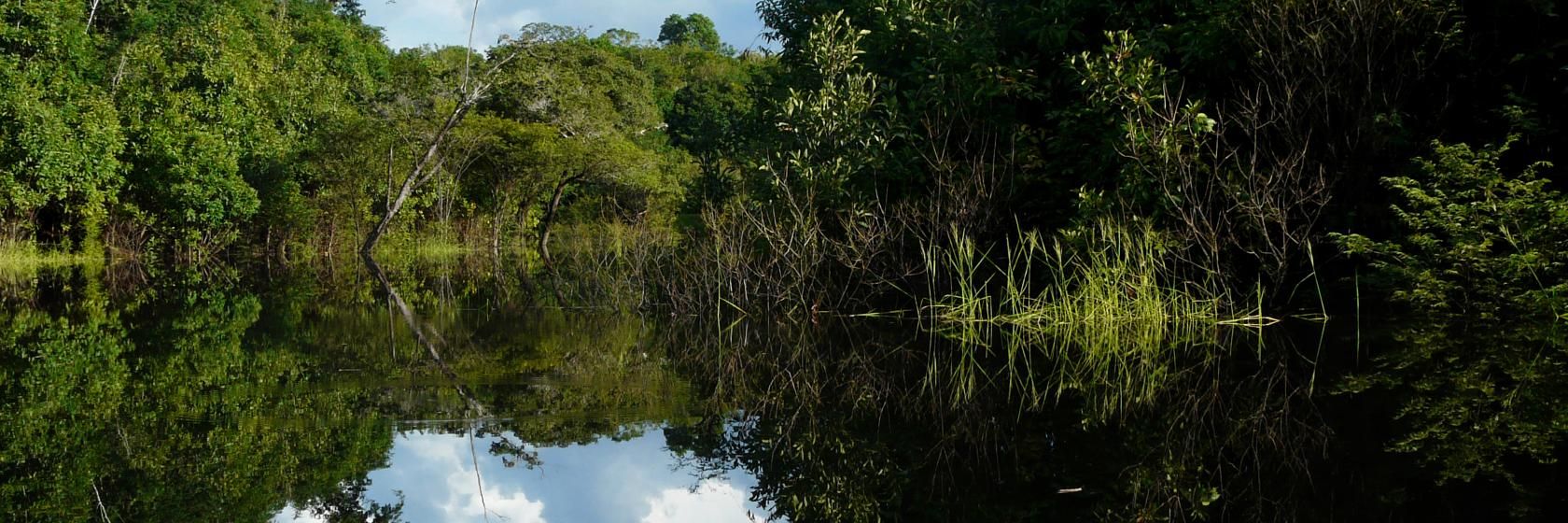 Foto do Santo Amaro da Imperatriz