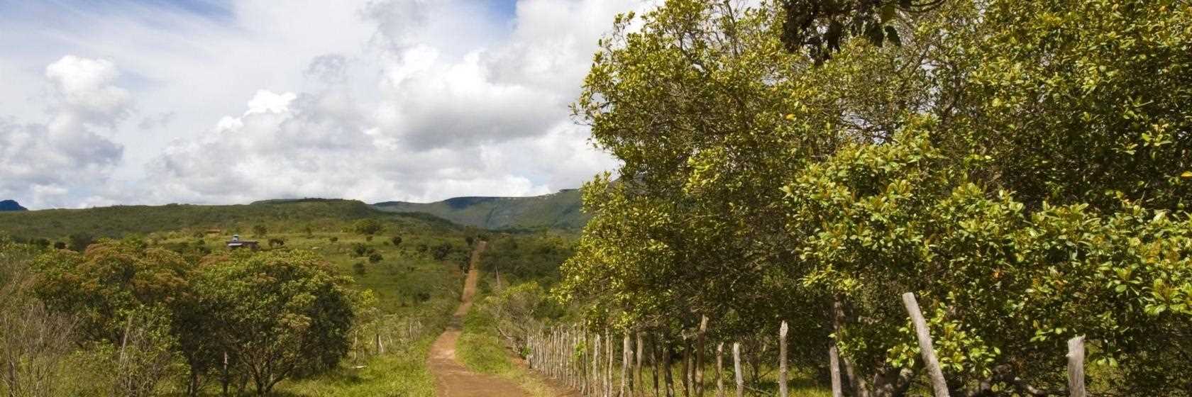 Foto do Penápolis